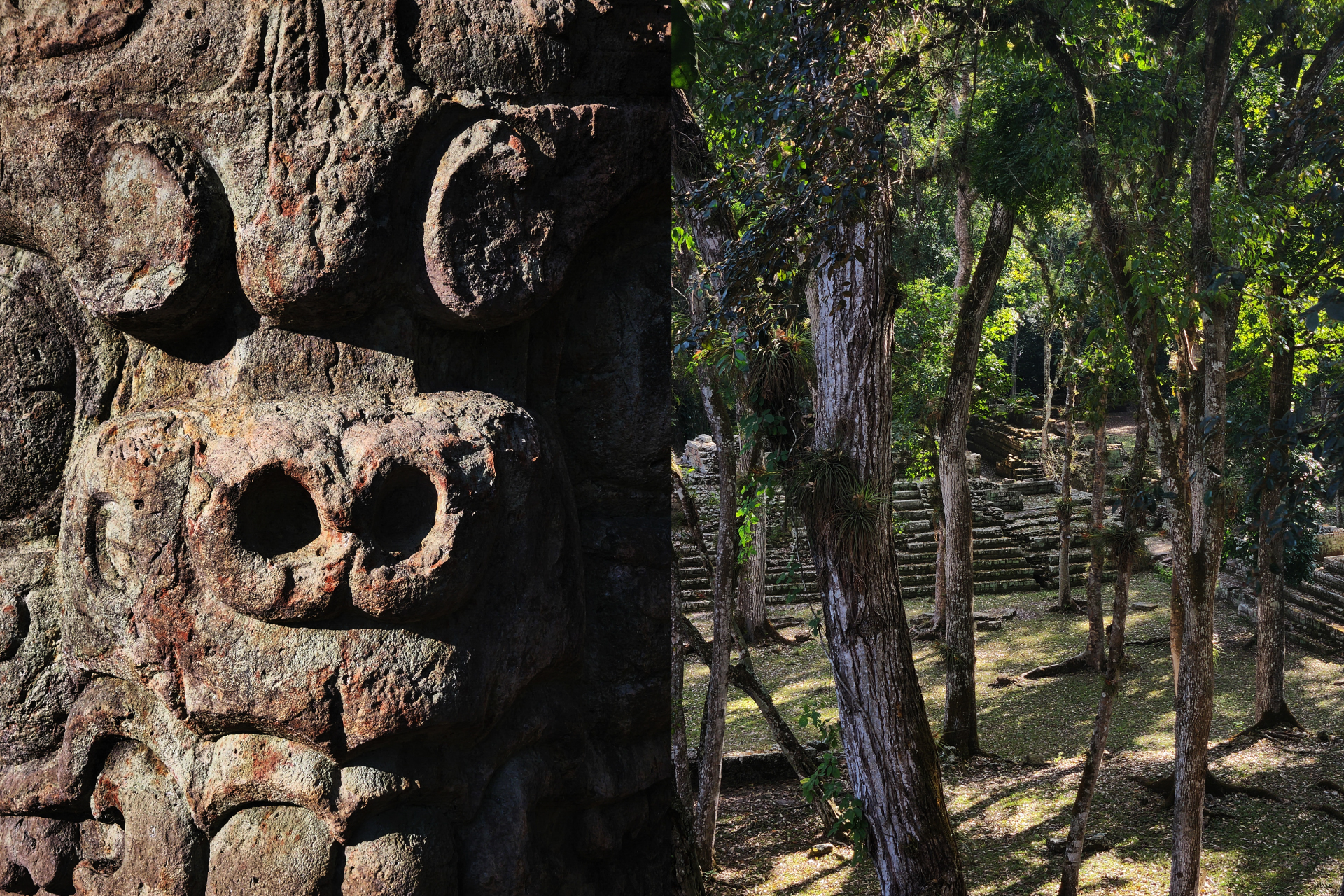 Crossing Borders — 5