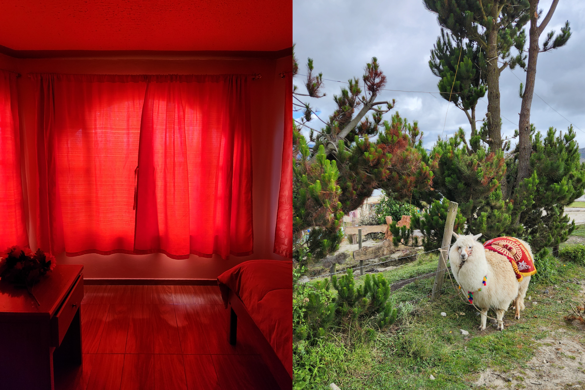 Latitude S0°0'0" — 10