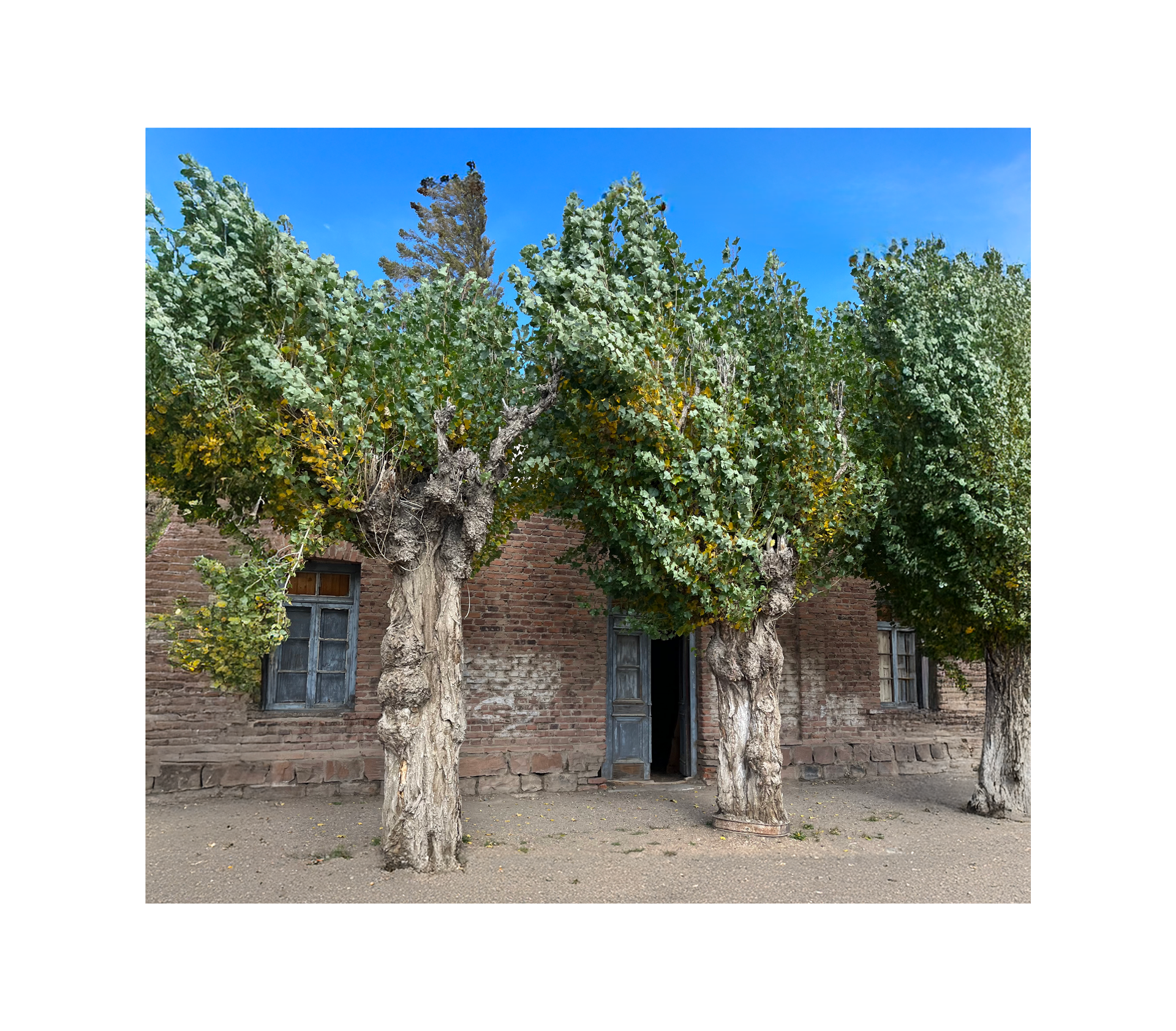 Mud, Sand, and Wind — 10