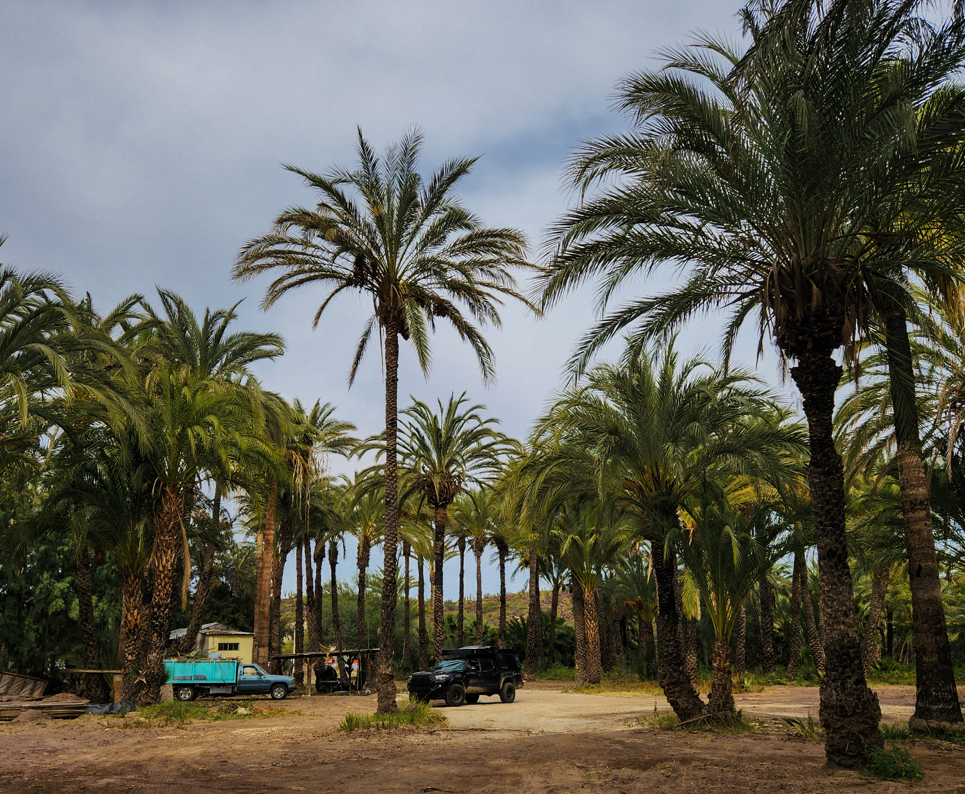 Camping Through Mexico