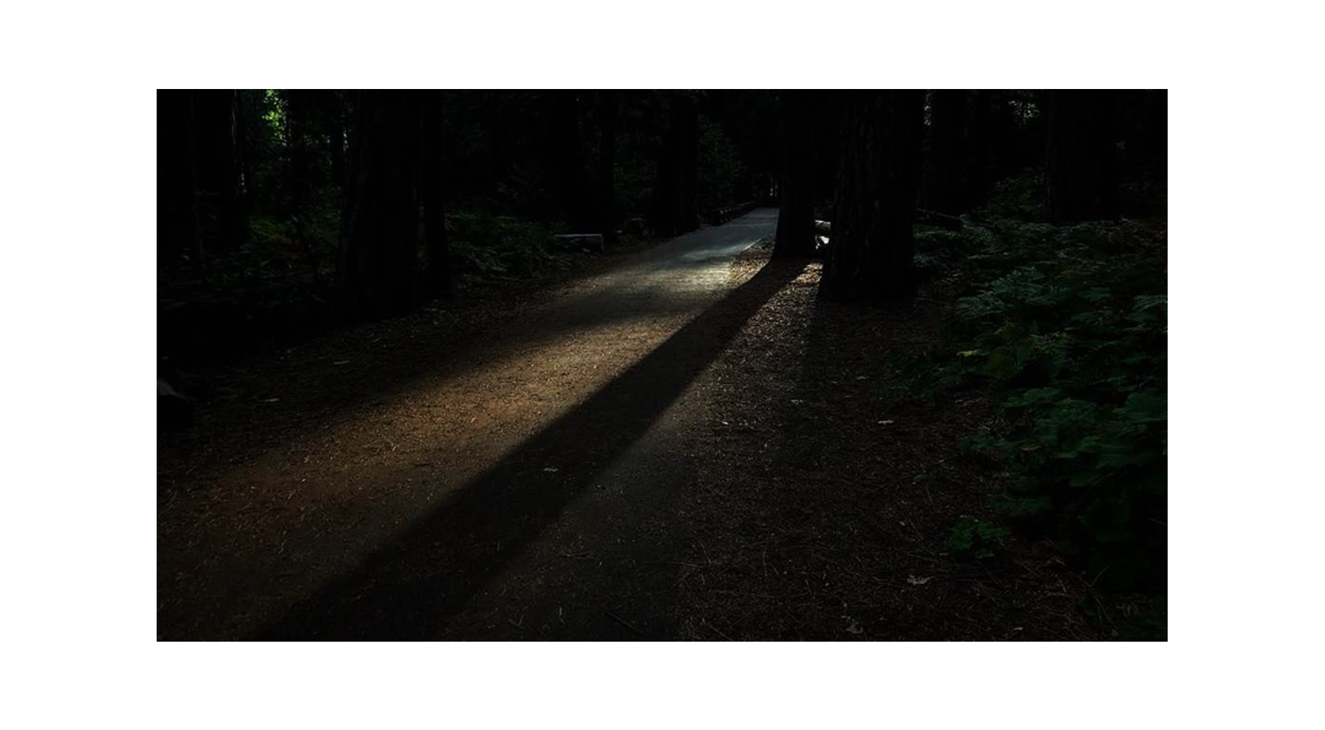 A Long Way Home — 6