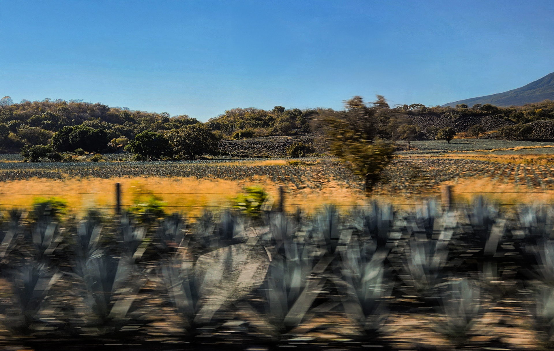 Camping Through Mexico — 8