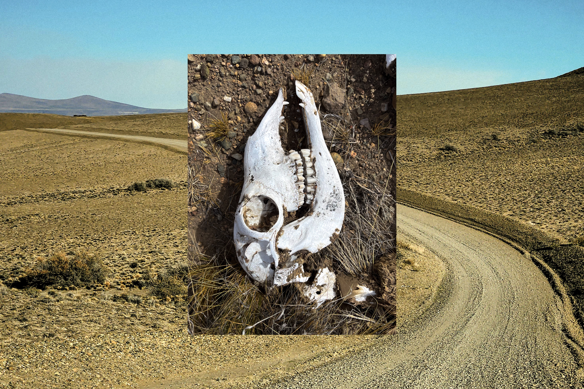 Mud, Sand, and Wind — 11